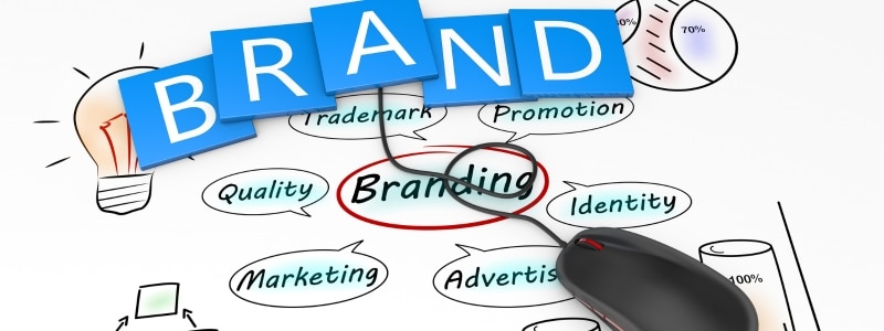 Building Brand Authority Online: Reputation Management and Thought Leadership Brand Authority 19f0ffaa untitled design 12 White Fox Studios Brand Authority