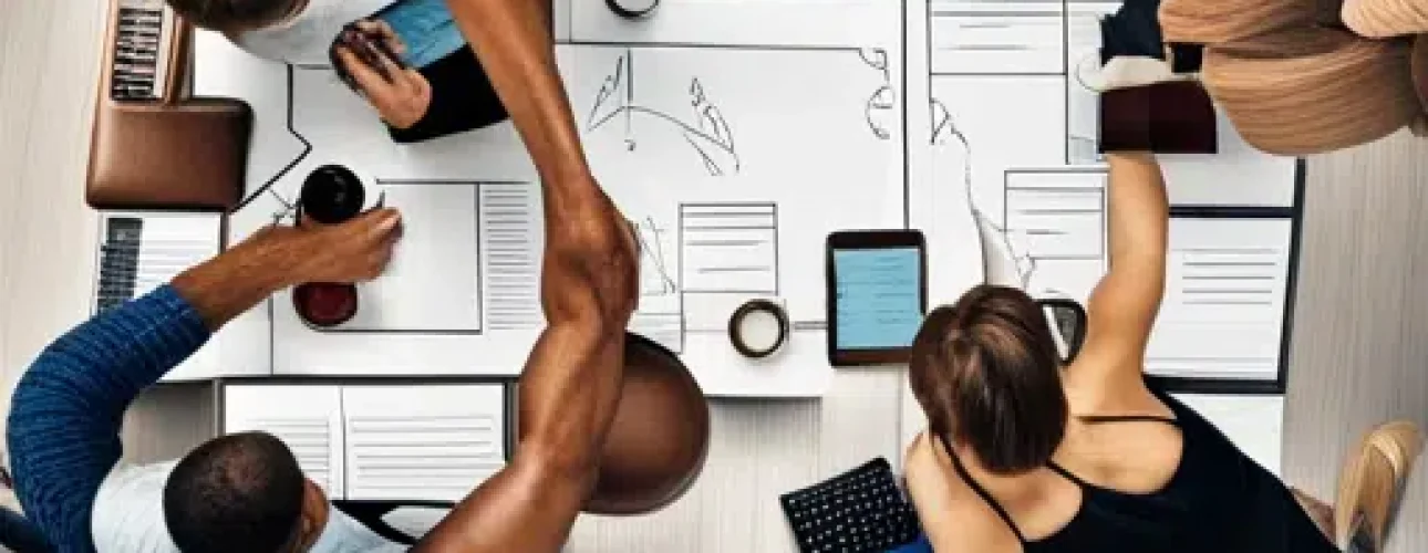 tampa web design
